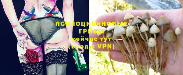 каннабис Алексеевка