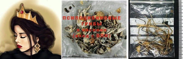 кокаин Алексин