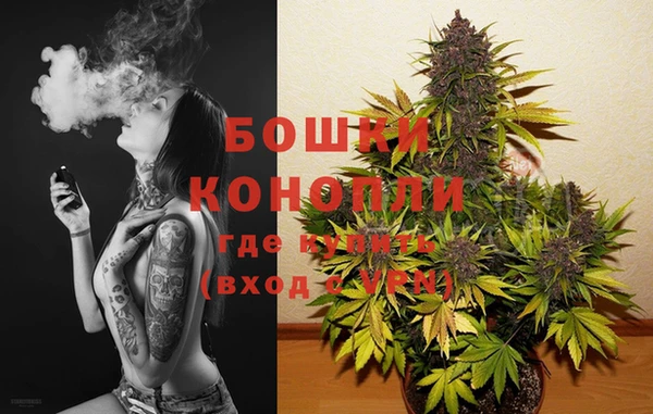 PSILOCYBIN Россошь