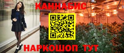 Альфа ПВП Пушкино