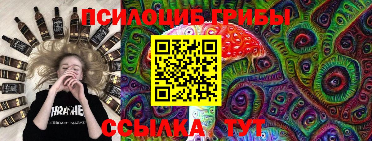 Серов  Галлюциногенные грибы Cubensis  закладки  Вход с VPN 